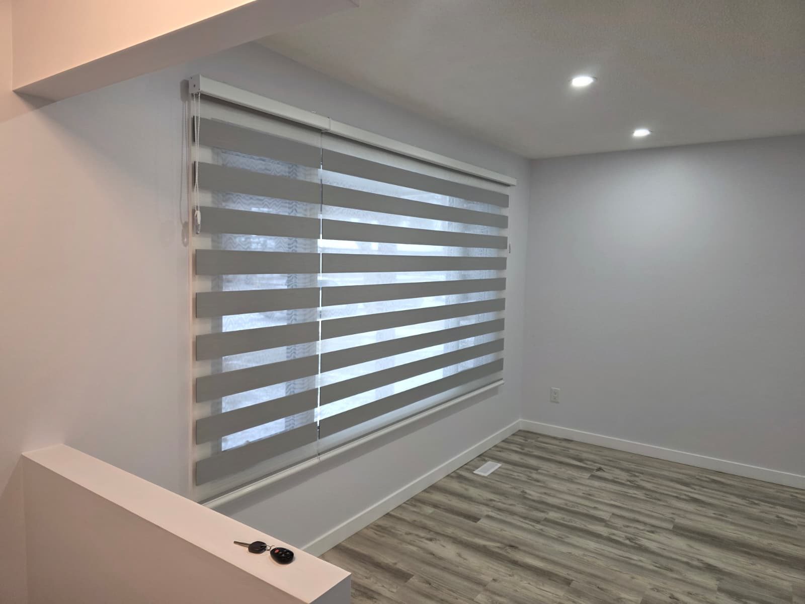 Motorized Blinds